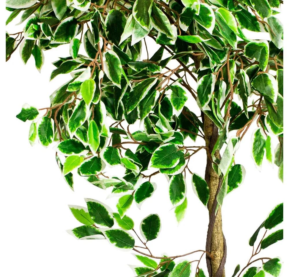 Decovego Kunstbaum Ficus Benjamin 160cm Weiß mit Echtholz