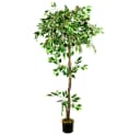 Decovego Kunstbaum Ficus Benjamin 160cm Weiß mit Echtholz Bild 2
