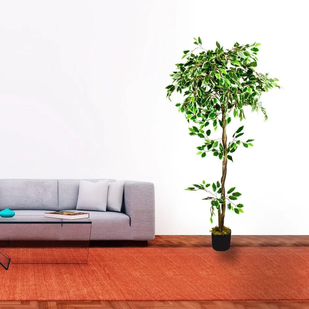 Decovego Kunstbaum Ficus Benjamin 160cm Weiß mit Echtholz - Bild 3