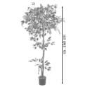 Decovego Kunstbaum Ficus Benjamin 160cm Weiß mit Echtholz Bild 4