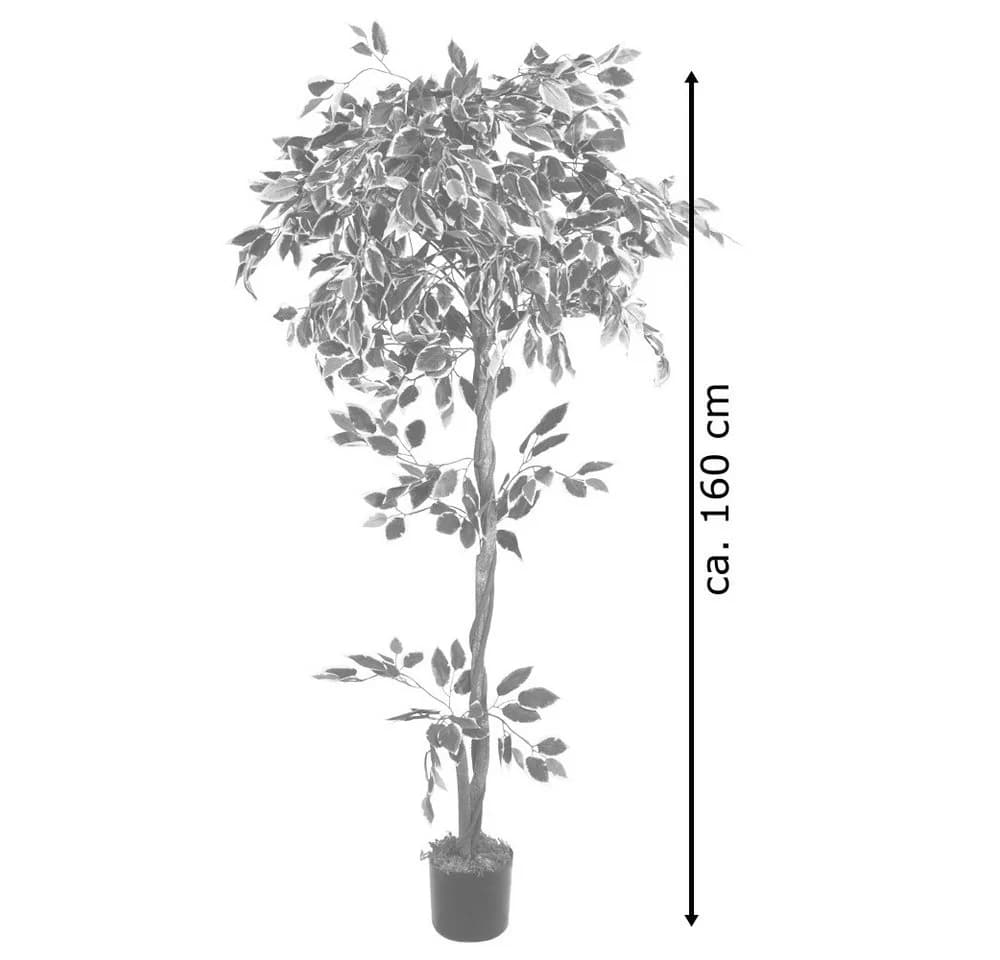 Decovego Kunstbaum Ficus Benjamin 160cm Weiß mit Echtholz - Bild 4