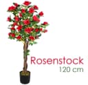 Decovego Kunstblume Rose Rot Echtholz 120 cm Bild 1