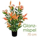 Decovego Künstliche Glanzmispel 70 cm Grün Bild 1