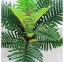 Decovego Kunstpalme Palmfarn 65 cm Grün Bild 4