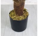 Decovego Kunstpalme Palmfarn 65 cm Grün Bild 5