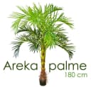 Künstliche Arekapalme 180 cm, Decovego Bild 1
