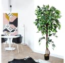 Decovego Kunstbaum Ficus Benjamin 165 cm mit Echtholz Bild 3