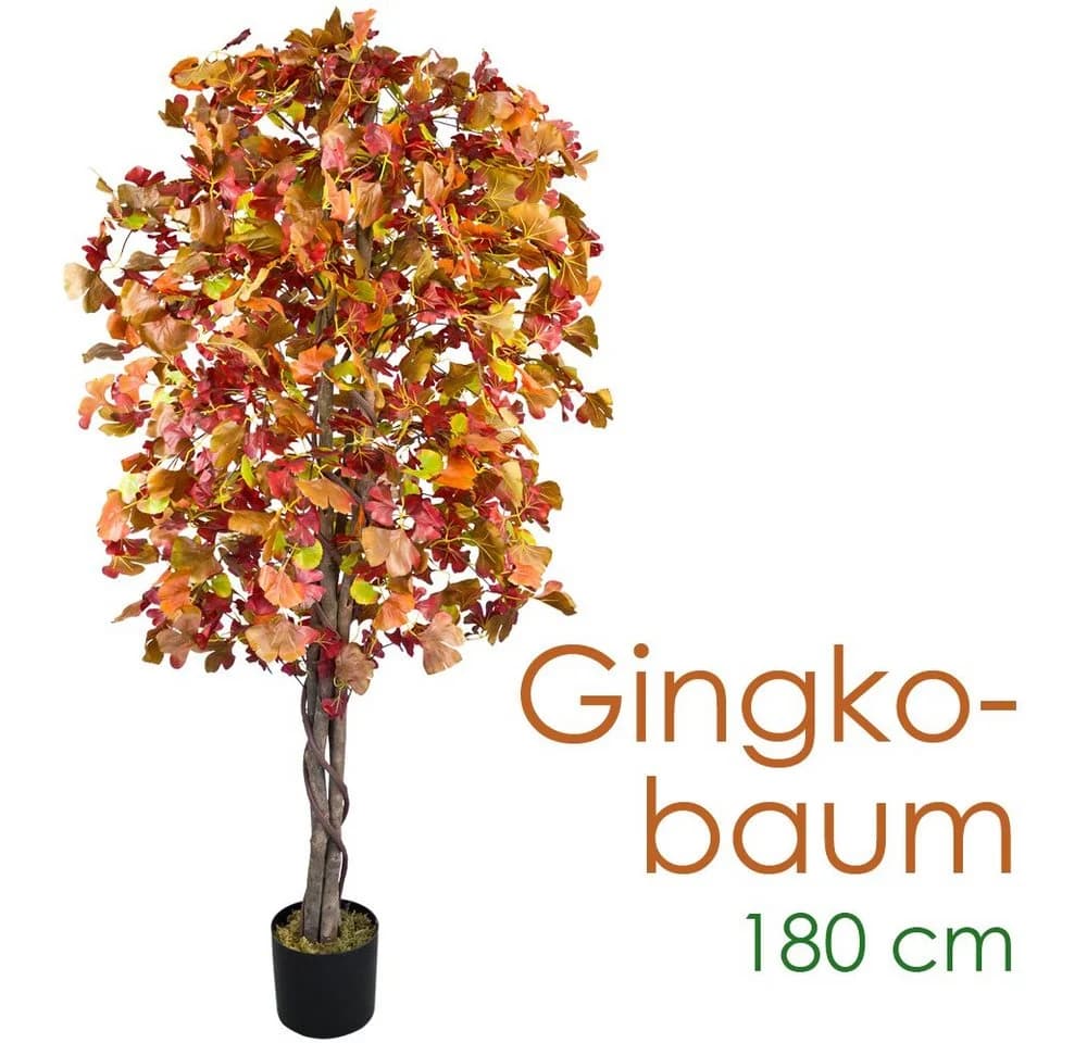 Decovego Kunstbaum Ginkgo 180 cm Echtholz
