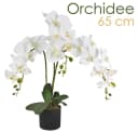 Decovego Künstliche Orchidee Weiß 65 cm mit Topf Bild 1