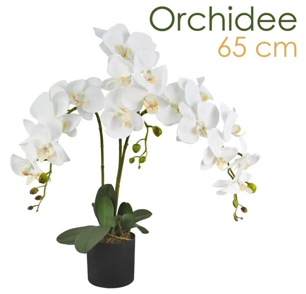 Decovego Künstliche Orchidee Weiß 65 cm mit Topf