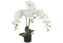 Decovego Künstliche Orchidee Weiß 65 cm mit Topf Bild 2