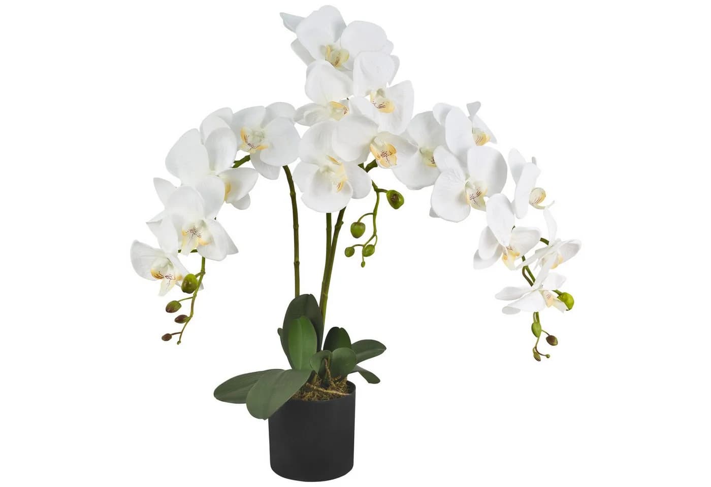 Decovego Künstliche Orchidee Weiß 65 cm mit Topf - Bild 2