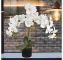 Decovego Künstliche Orchidee Weiß 65 cm mit Topf Bild 3