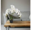 Decovego Künstliche Orchidee Weiß 65 cm mit Topf Bild 4