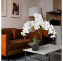 Decovego Künstliche Orchidee Weiß 65 cm mit Topf Bild 5
