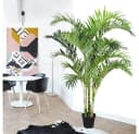Kunstpalme Arekapalme 190 cm Decovego Bild 5