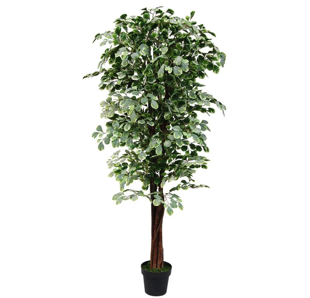 Kunstbaum Ficus Benjamin Kunstpflanze 180 cm - Bild 2