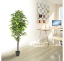 Decovego Kunstbaum Ficus 180 cm Grün mit Echtholz Bild 3
