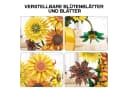 Esun Blumen Set Van Gogh Sonnenblumen 1009 Teile ABS Kunststoff Bild 1