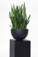VIVANNO Blumenständer Fiberglas Podest Anthrazit Matt Bild 5