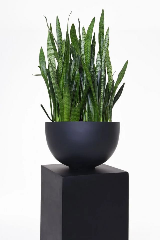VIVANNO Blumenständer Fiberglas Podest Anthrazit Matt - Bild 5