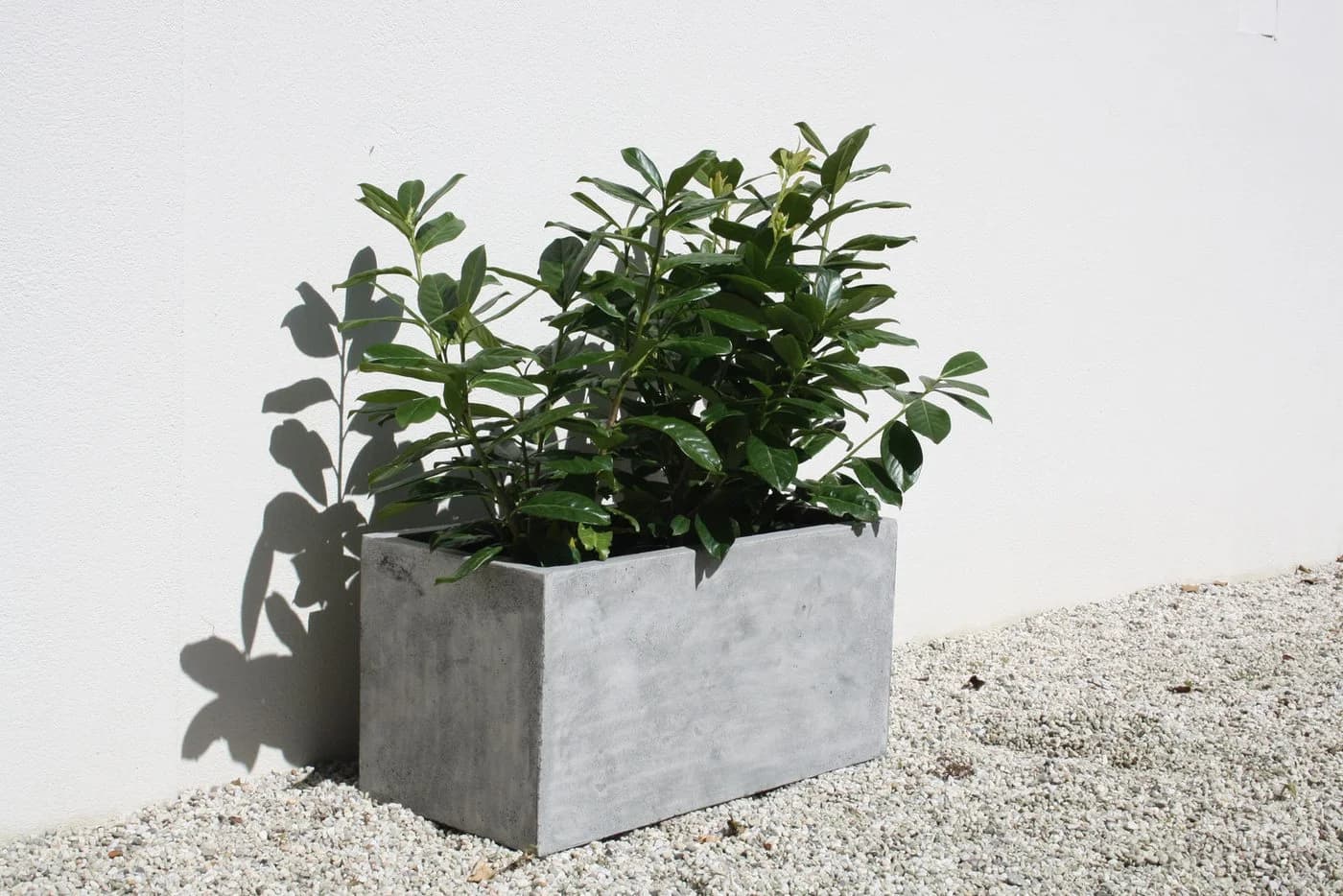VIVANNO Pflanzkübel MAXI Kasten Betongrau Fiberglas - Bild 3