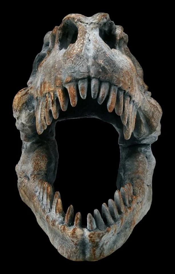 Figuren Shop GmbH Dekofigur Totenkopf Tyrannosaurus Rex Klein