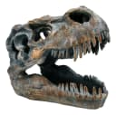 Figuren Shop GmbH Dekofigur Totenkopf Tyrannosaurus Rex Klein Bild 2