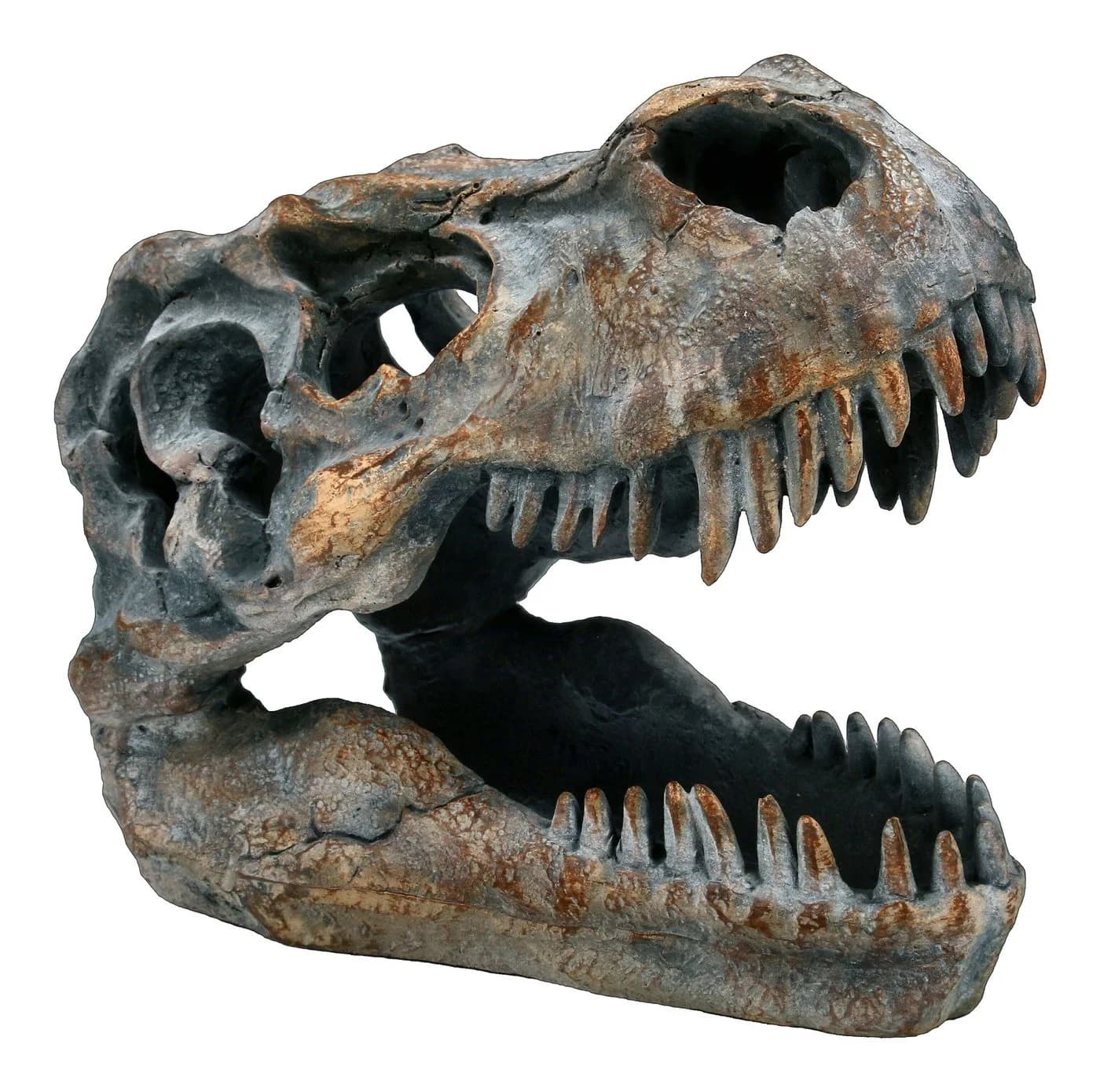 Figuren Shop GmbH Dekofigur Totenkopf Tyrannosaurus Rex Klein - Bild 2