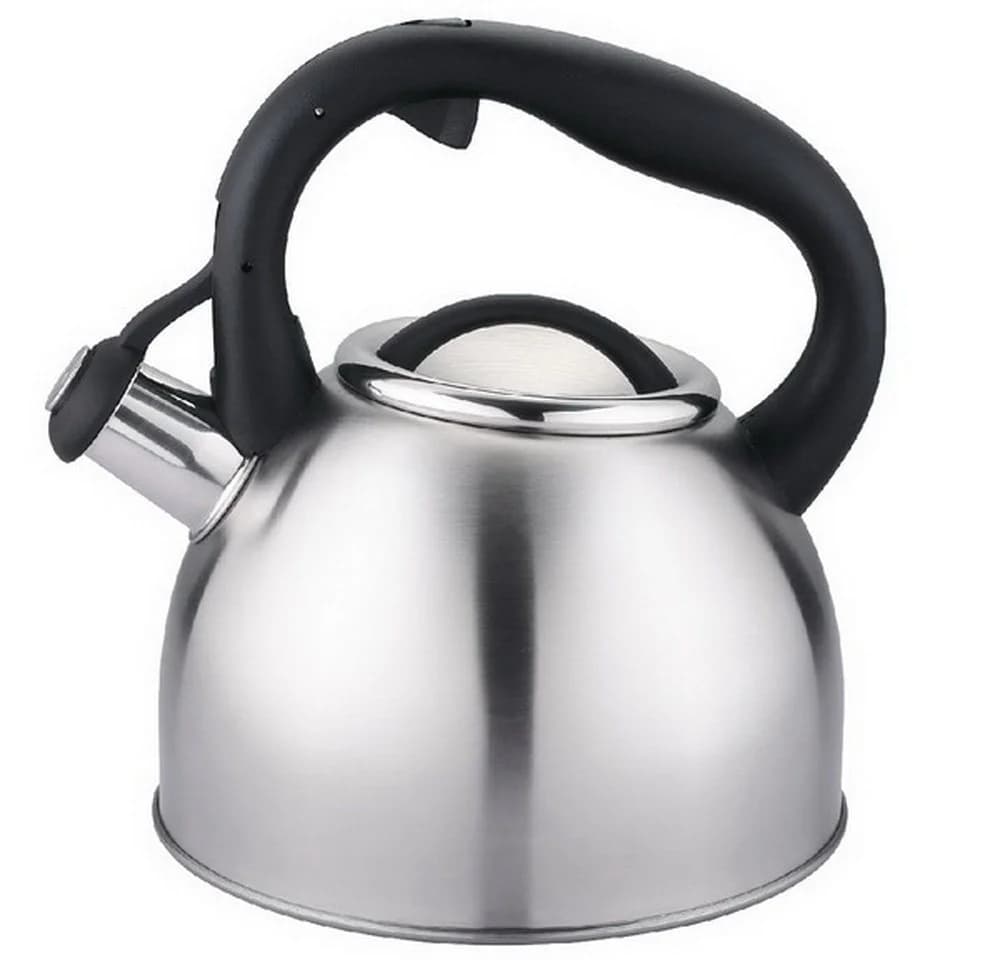 Carl Schmidt Sohn Wasserkessel BONN 2,5L Edelstahl Pfeife Cool-Touch