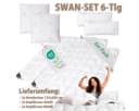 SEI Design Microfaserbettdecke Winter Bett-Set 6-tlg. Daunenähnliches Gefühl Bild 1