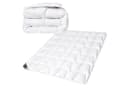 SEI Design Microfaserbettdecke SWAN Winter 135x200 cm Mikrofaser Decke Kuscheldecke Bild 2