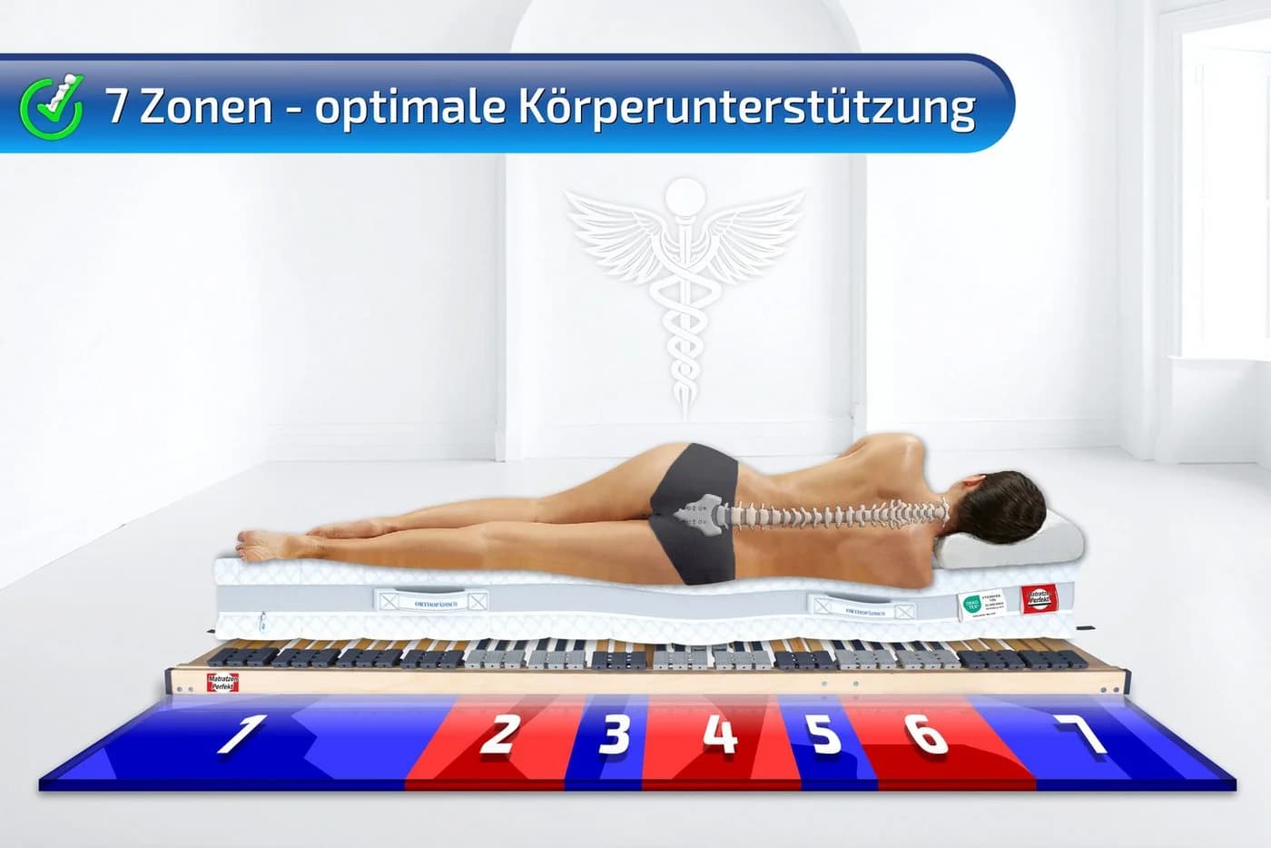 Matratzen Perfekt Lattenrost 42 Leisten Buche 7 Zonen Trio-Kautschukkappen - Bild 3