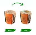 Hydrophil Zahnputzbecher Kids Orange Maus Bild 1