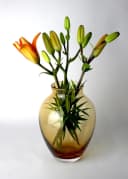 Signature Home Collection Tischvase Bernstein Glas Handgemacht Bild 2