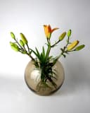 Signature Home Collection Kugelvase Glas Braun Bild 2