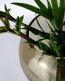 Signature Home Collection Kugelvase Glas Braun Bild 5