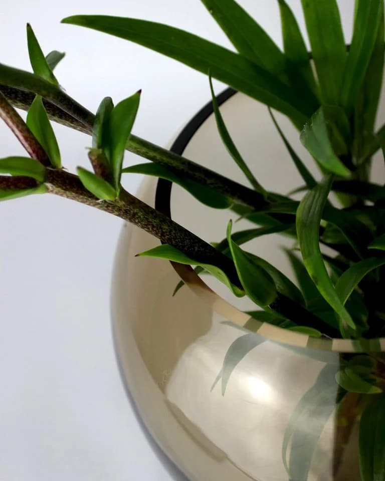 Signature Home Collection Kugelvase Glas Braun - Bild 5