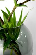 Signature Home Collection Kugelvase Glas rund bernstein grau Glasvase handgemacht Tischvase Bild 4