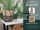 ZOLLNER Seiftuch 10er Pack 30x30 cm 100% Baumwolle Beige Waffelpique Bild 1