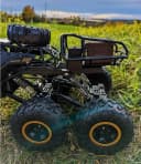 BruKa RC Geländewagen GEPARD 4x4 Allradantrieb Schwarz Gold Bild 1