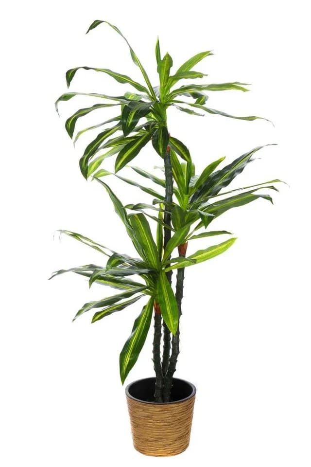 BIRENDY Dekobaum XXL Drachenbaum 150cm Kunstpflanze Grün - Bild 2