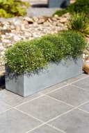 VIVANNO Balkonkasten Beton Grau Matt Modern Bild 1