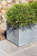 VIVANNO Balkonkasten Beton Grau Matt Modern Bild 4