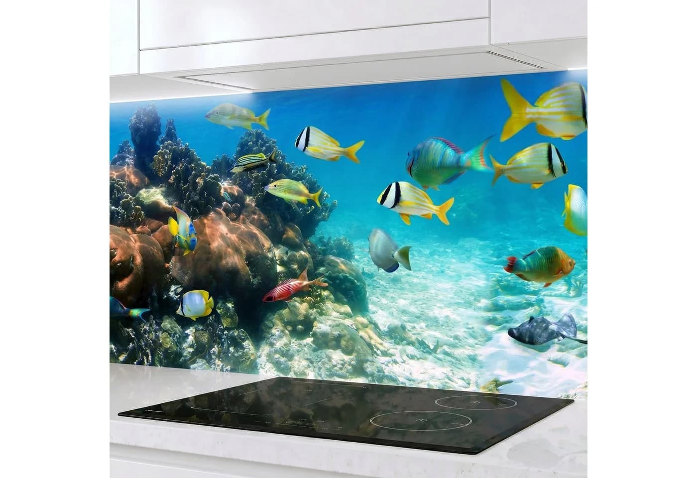 Rodnik Küchenrückwand Unterwasserwelt - Bild 2