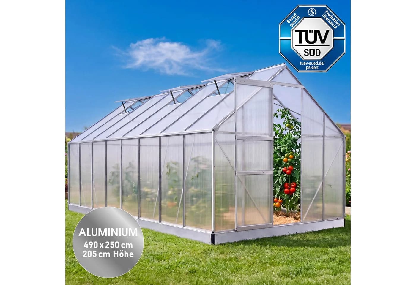 BRAST Gewächshaus Aluminium 490x250x205cm TÜV-geprüft