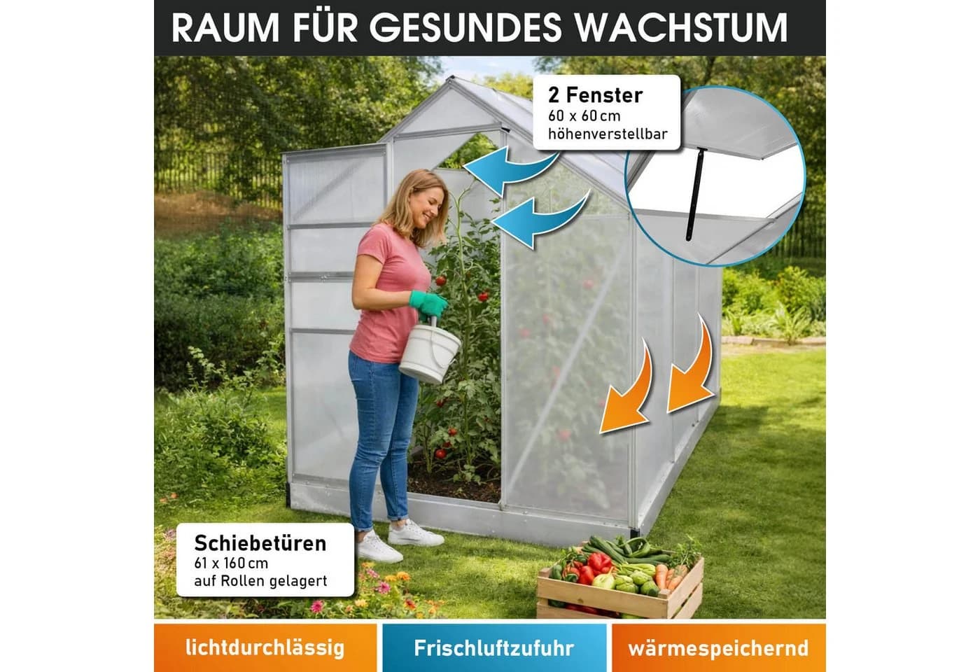 BRAST Gewächshaus ALU mit Fundament rostfrei TÜV geprüft - Bild 5