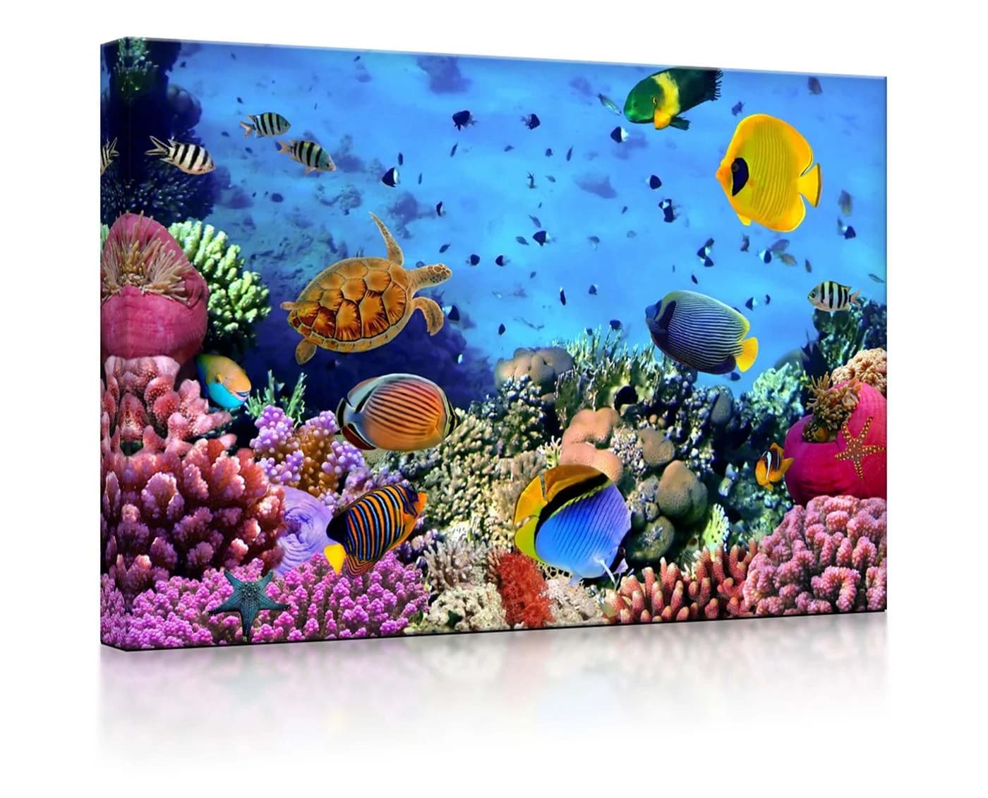 lightbox-multicolor LED-Bild Bunte Fische über Korallenriff