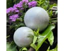 ZGM Beton Dekokugeln Set Silber Wetterfest Garten Deko Bild 1
