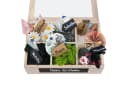 SURPRISA Geschenkbox Schotter Schatulle - 6 Fächer Holzbox mit Glasdeckel Bild 1